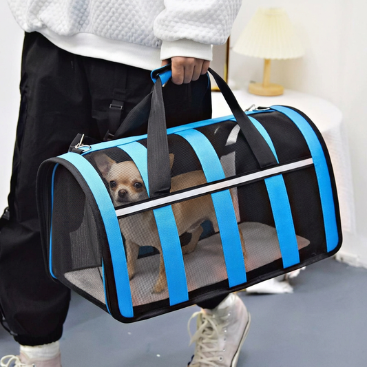 chihuahua dans un sac de transport pour chien bleu