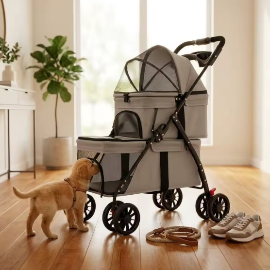 chiot découvre poussette pour chien beige salon