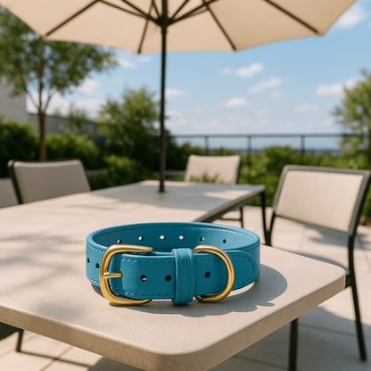 Collier chien cuir bleu ciel sur table blanche
