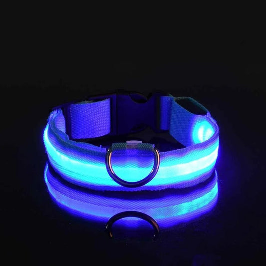 Collier Chien - LEDCollarDog™ - Bleu - Chien dynamic
