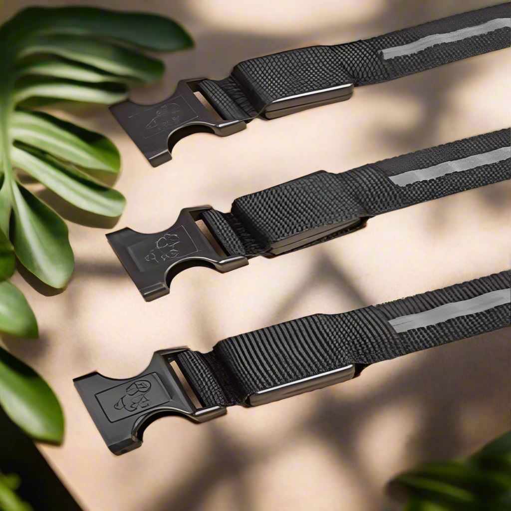 Collier Chien - LEDCollarDog™ - Noir - Chien dynamic
