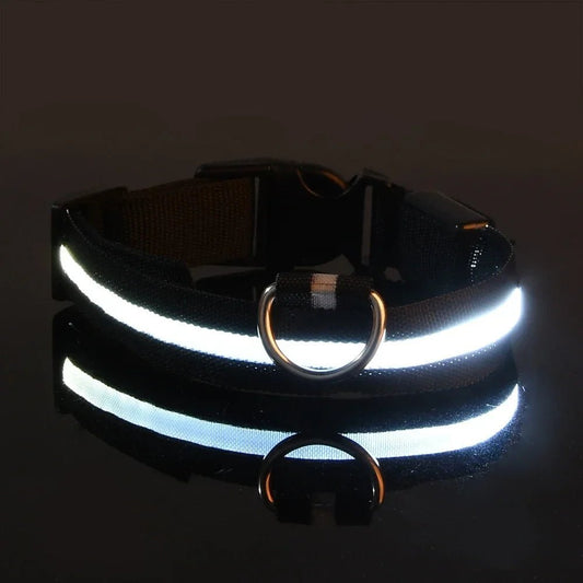 Collier Chien - LEDCollarDog™ - Noir - Chien dynamic
