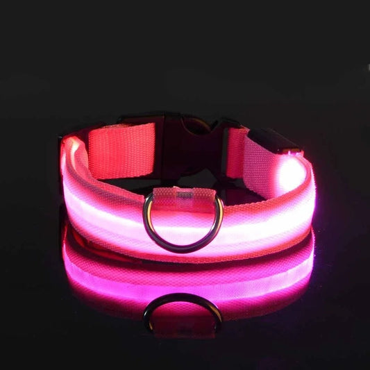 Collier Chien - LEDCollarDog™ - Rose - Chien dynamic