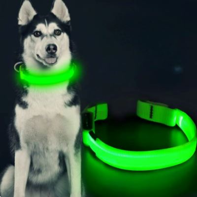 Collier Chien - LEDCollarDog™ - Vert - Chien dynamic