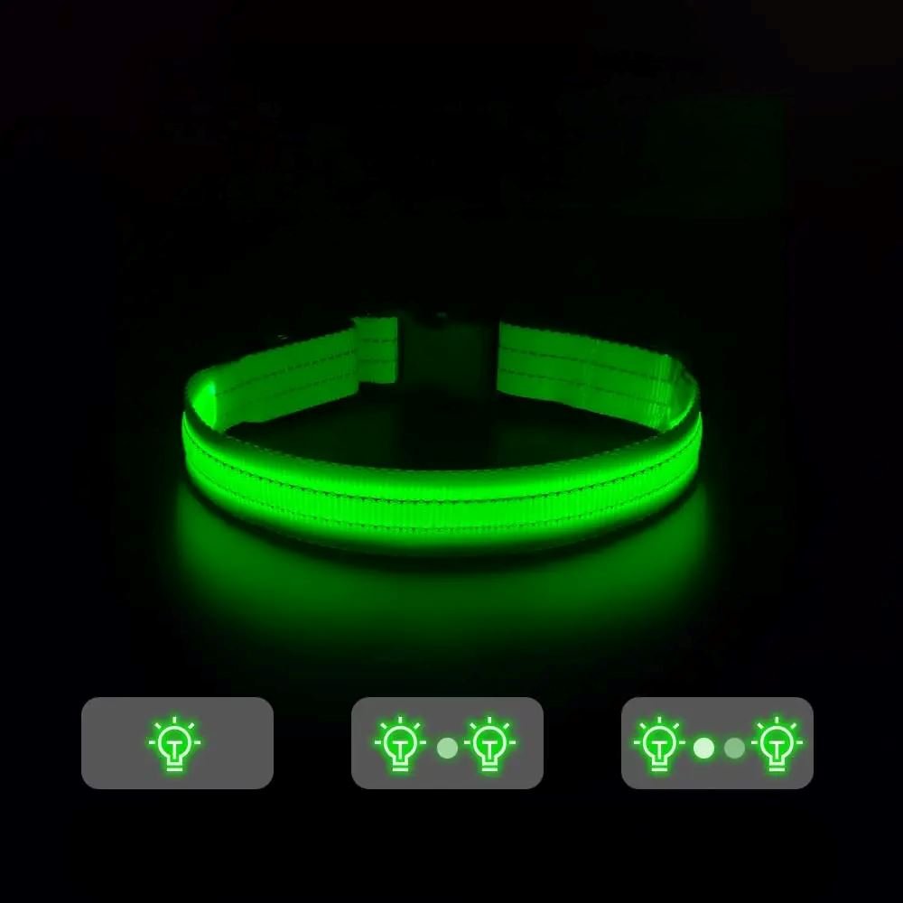 Collier Chien - LEDCollarDog™ - Vert - Chien dynamic