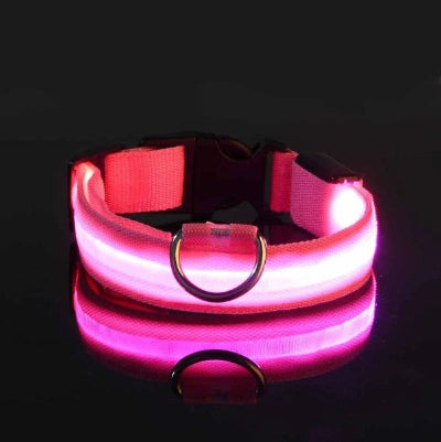 collier lumineux pour chien rose led brillant