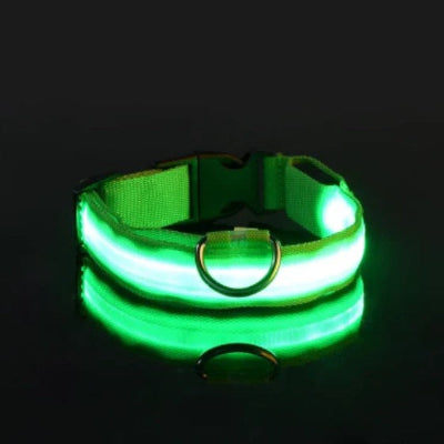 collier lumineux pour chien vert balade nocturne