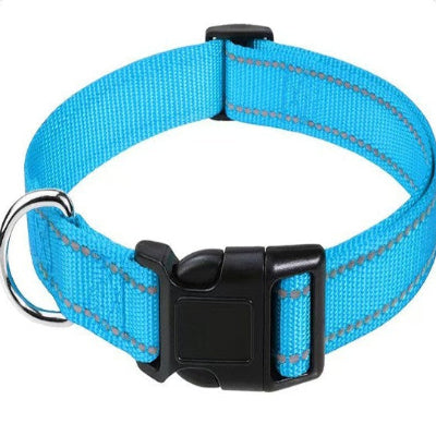 collier pour chien bleu clair boucle clip