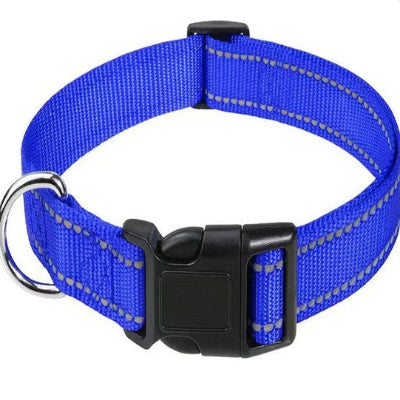 collier pour chien bleu gitane bandes reflechissantes