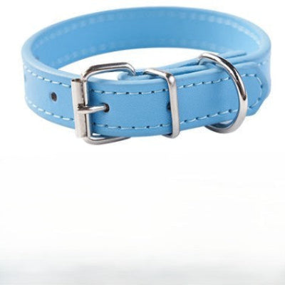 collier pour chien bleu