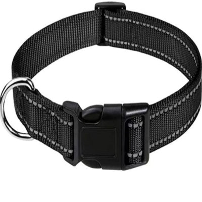 collier pour chien noir discret boucle clip