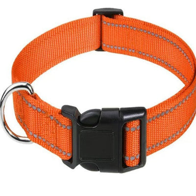 collier pour chien orange boucle plastique
