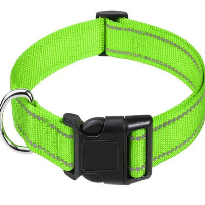 collier pour chien vert fluo clip securite