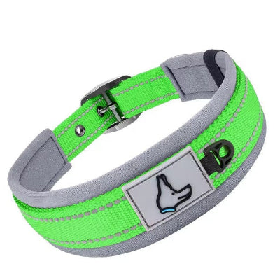  collier pour chien violet neoprene rembourre bande reflechissante