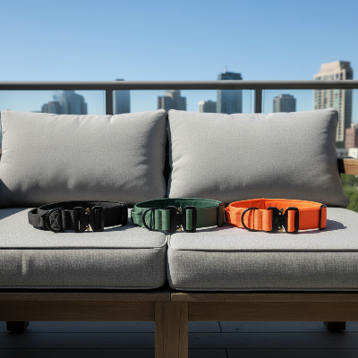 collier tactique chien noir vert orange canape balcon
