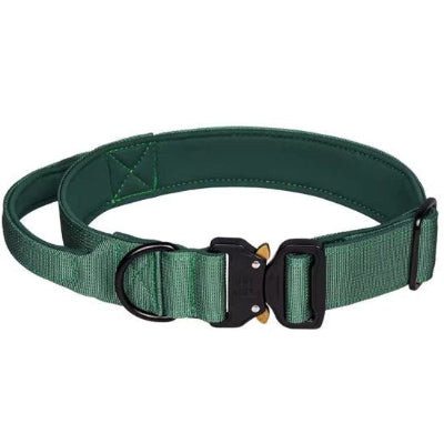 collier tactique chien vert avec anneau en d