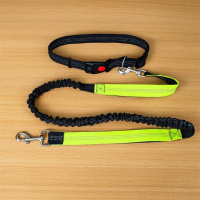 comportant fluo reflechissant laisse chien main libre verte 