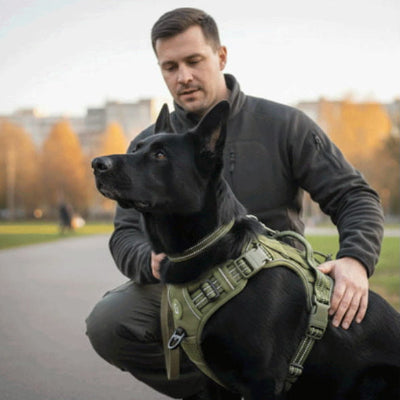 controle optimal avec poignee dorsale harnais chien