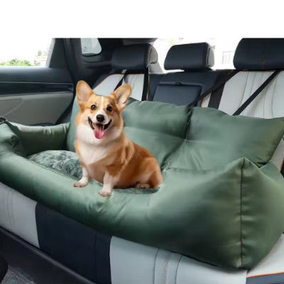 corgi heureux sur siege auto pour chien vert