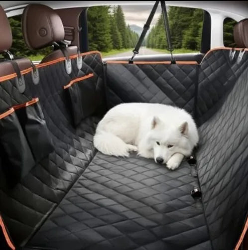 cote droit sur protection voiture chien dort petit samoyede