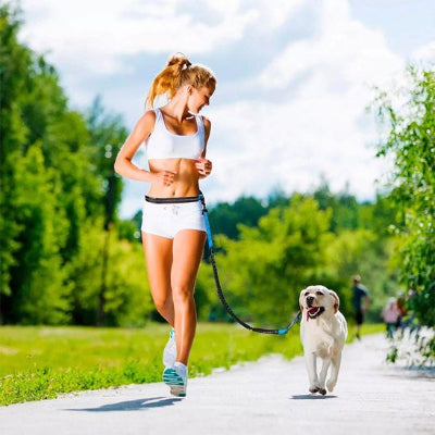  course active avec laisse chien main libre ajustable