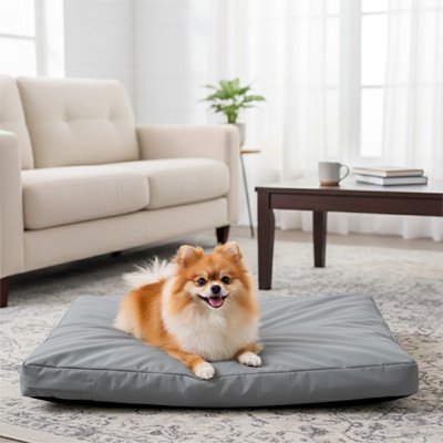 coussin pour chien confortable gris salon interieur moelleux