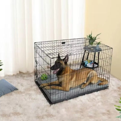 dans cage transport securise repose malinois coussin pour chien