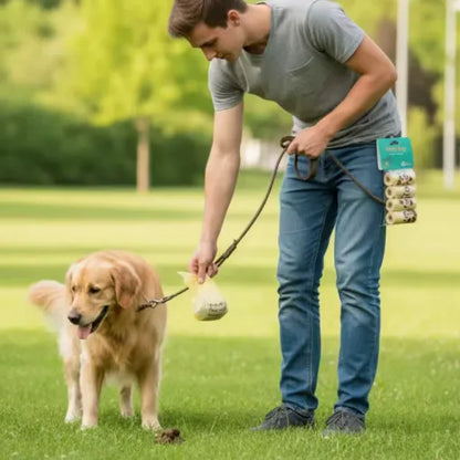 dans parc avec sac a crotte paul ramasse dechets chien