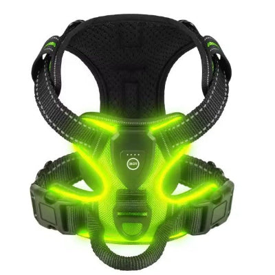 design ergonomique harnais lumineux led chien vert
