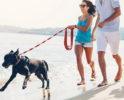 deux personnes labrador noir laisse pour chien bord mer