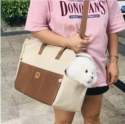  devant immeuble femme avec sac tranport chien maron beige