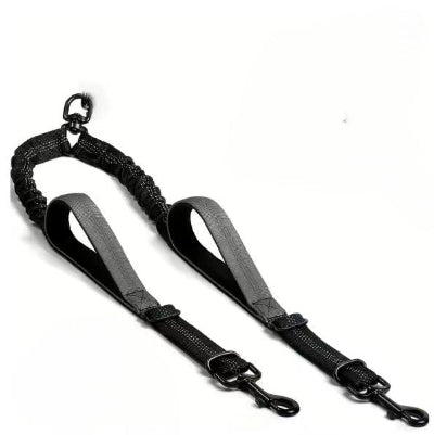 double laisse pour chien grise elegante pour deux compagnons