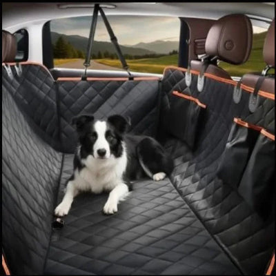 entoure protection voiture chien durable border collie regarde camera