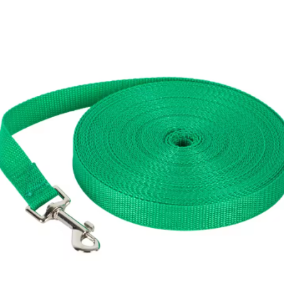 equippe poignee ergonomique longe pour chien verte