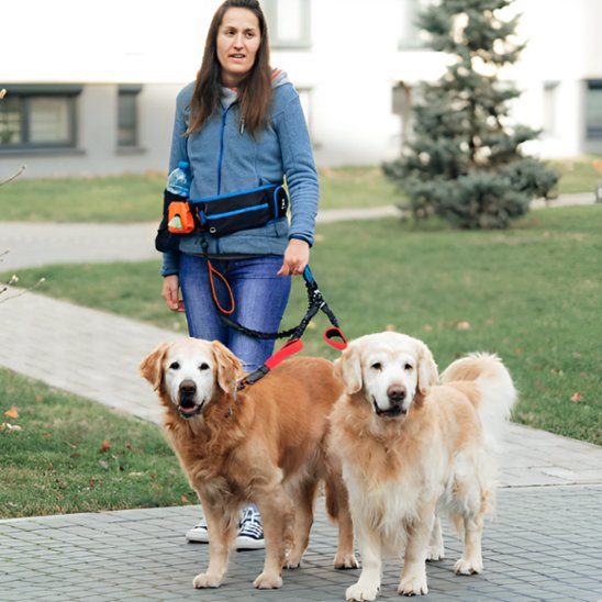 femme avec deux goldens double laisse pour chien ergonomique