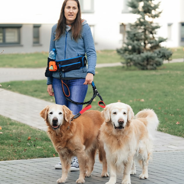 femme deux golden double laisse pour chien devant immeuble