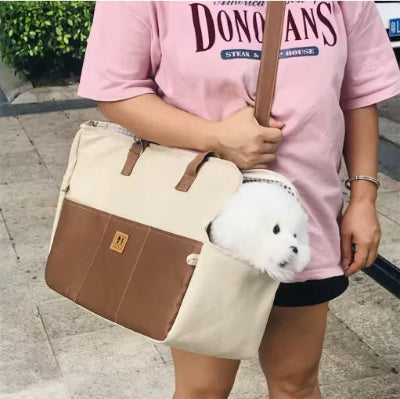 femme-devant-immeuble-avec-sac-tranport-chien-maron-beige
