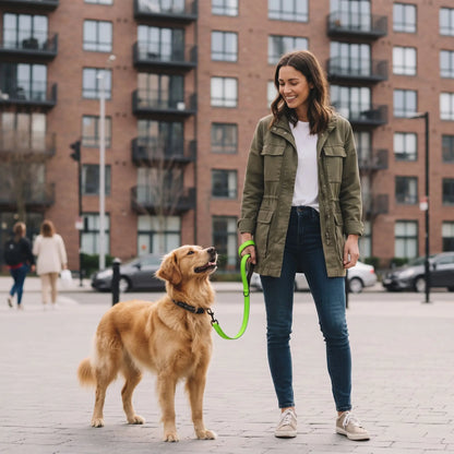  femme promène golden laisse chien courte réfléchissante verte immeuble
