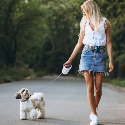  femme promene shih tzu avec laisse chien enrouleur