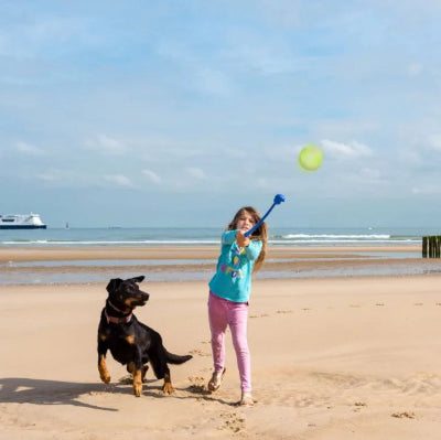 fille berger jouent lanceur de balle pour chien manche ergonomique