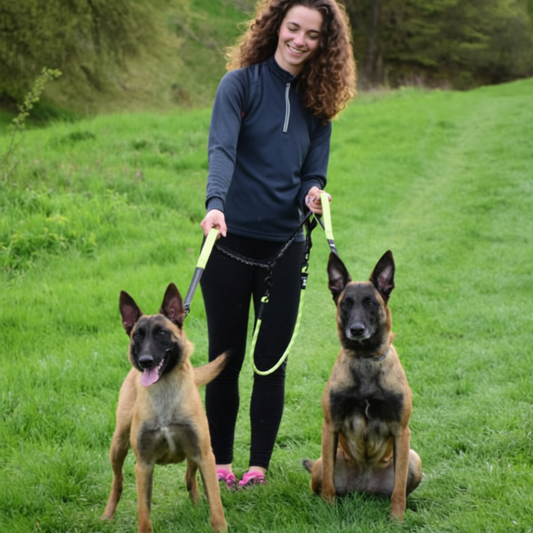 fille deux malinois double laisse pour chien verte gazon