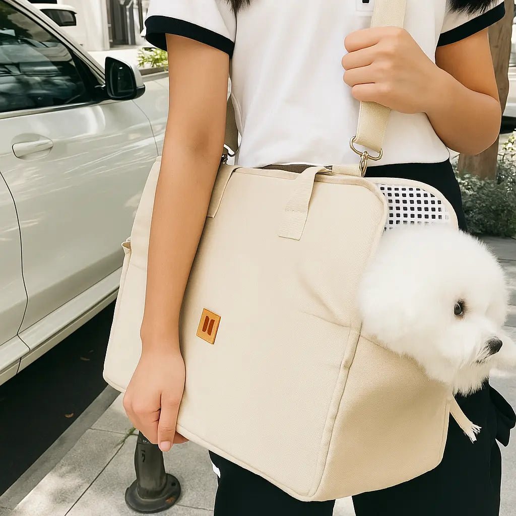 fille sur trottoir porte sac transport chien beige