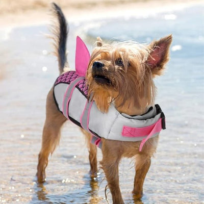 gilet de sauvetage chien rose yorkshire en action