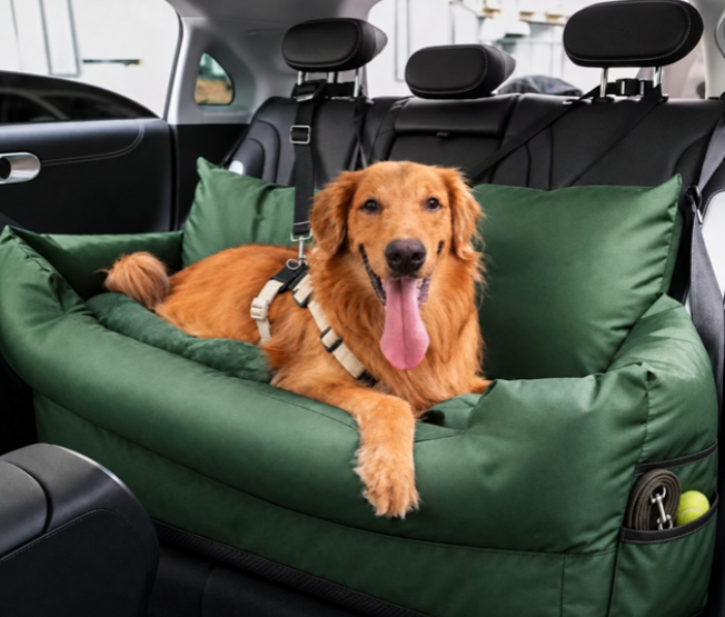 golden attaché détendu dans siège auto pour chien vert