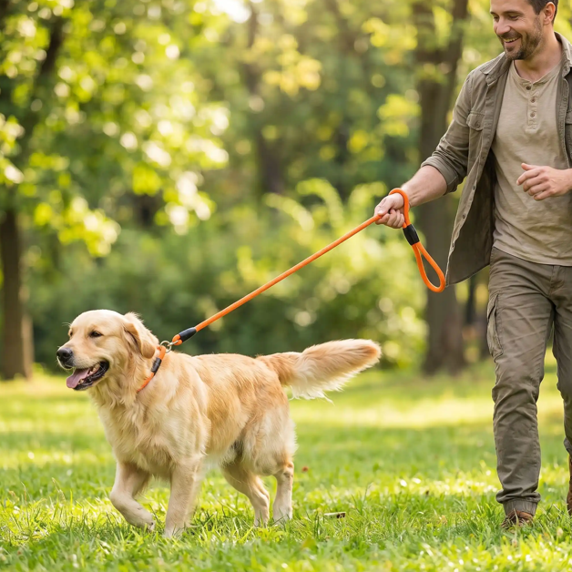 golden joue collier chien coulissant orange