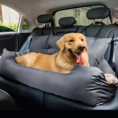 golden retriever detendu siege auto pour chien gris