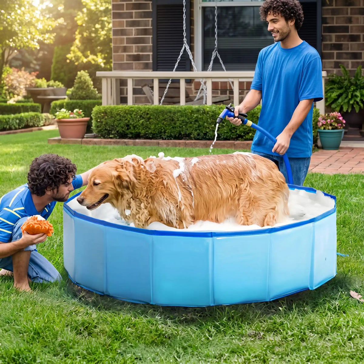 golden retriever prends son bain dans piscine pour chien bleu
