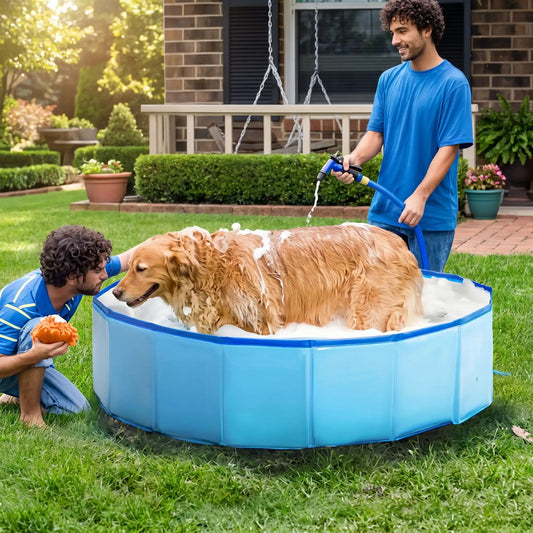 golden retriever prends son bain dans piscine pour chien bleu