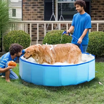 golden retriever se rafraichit dans piscine pour chien bleu