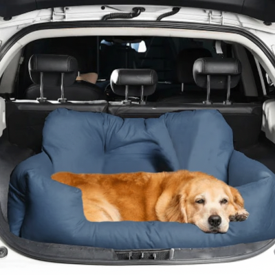 golden retriever siege bleu ardoise coffre